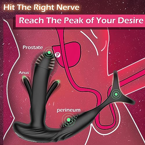 Masseur de prostate avec 10 réglages de battement et de vibration