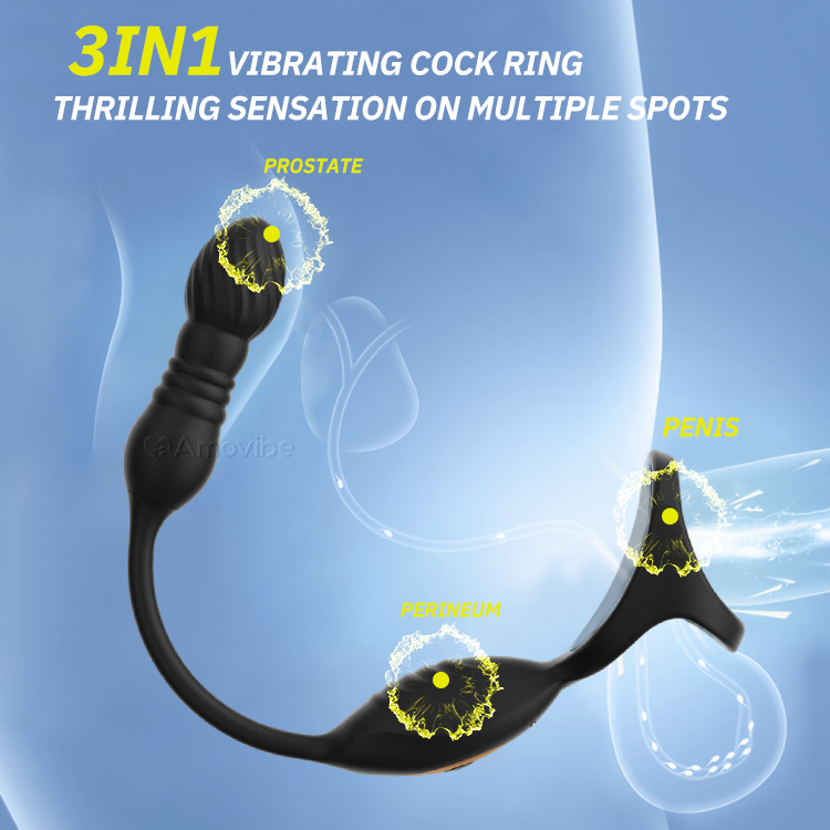 Masseur de Prostate à Distance avec 10 Fonctions Vibrantes